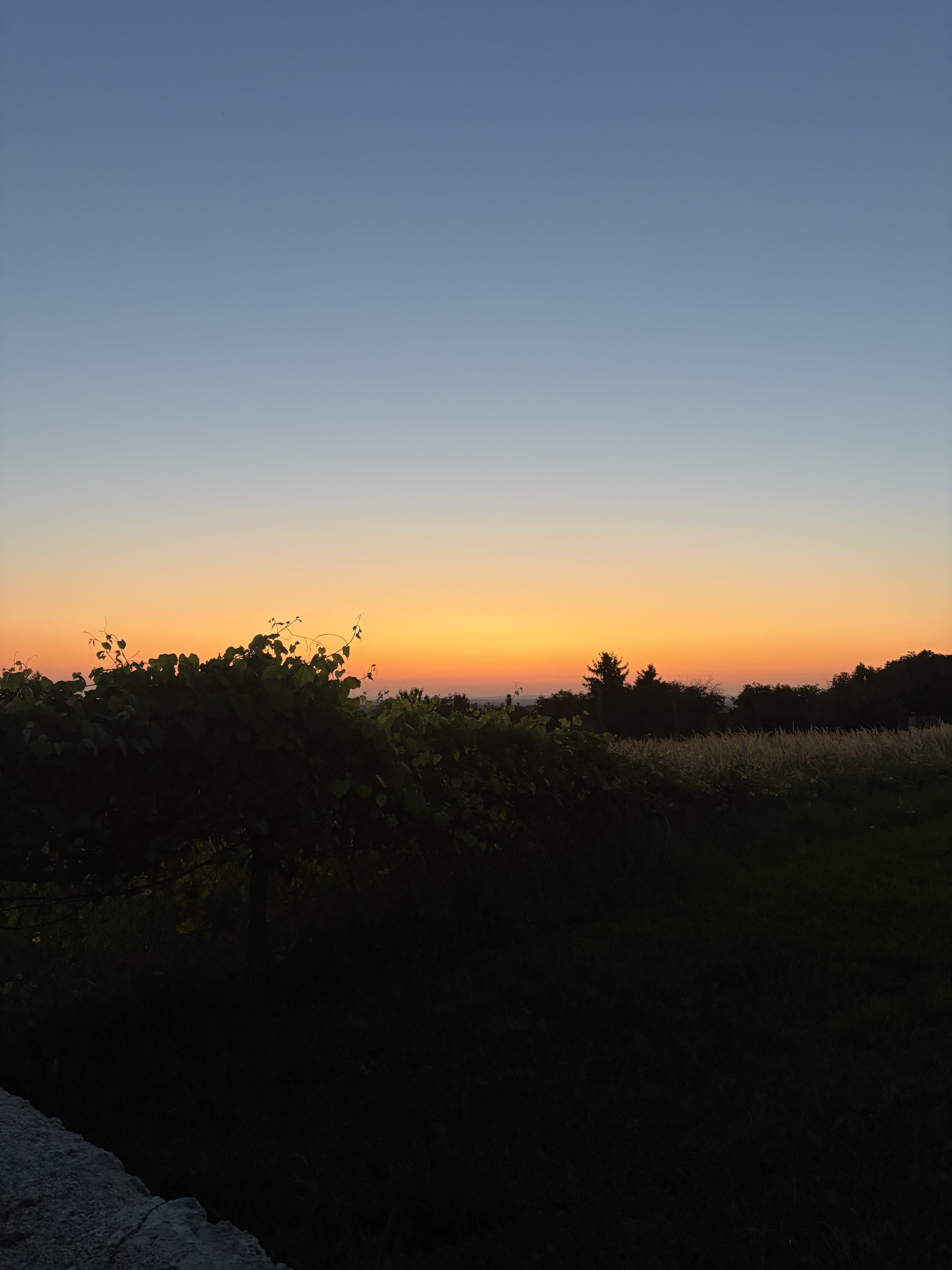 love is never complicated